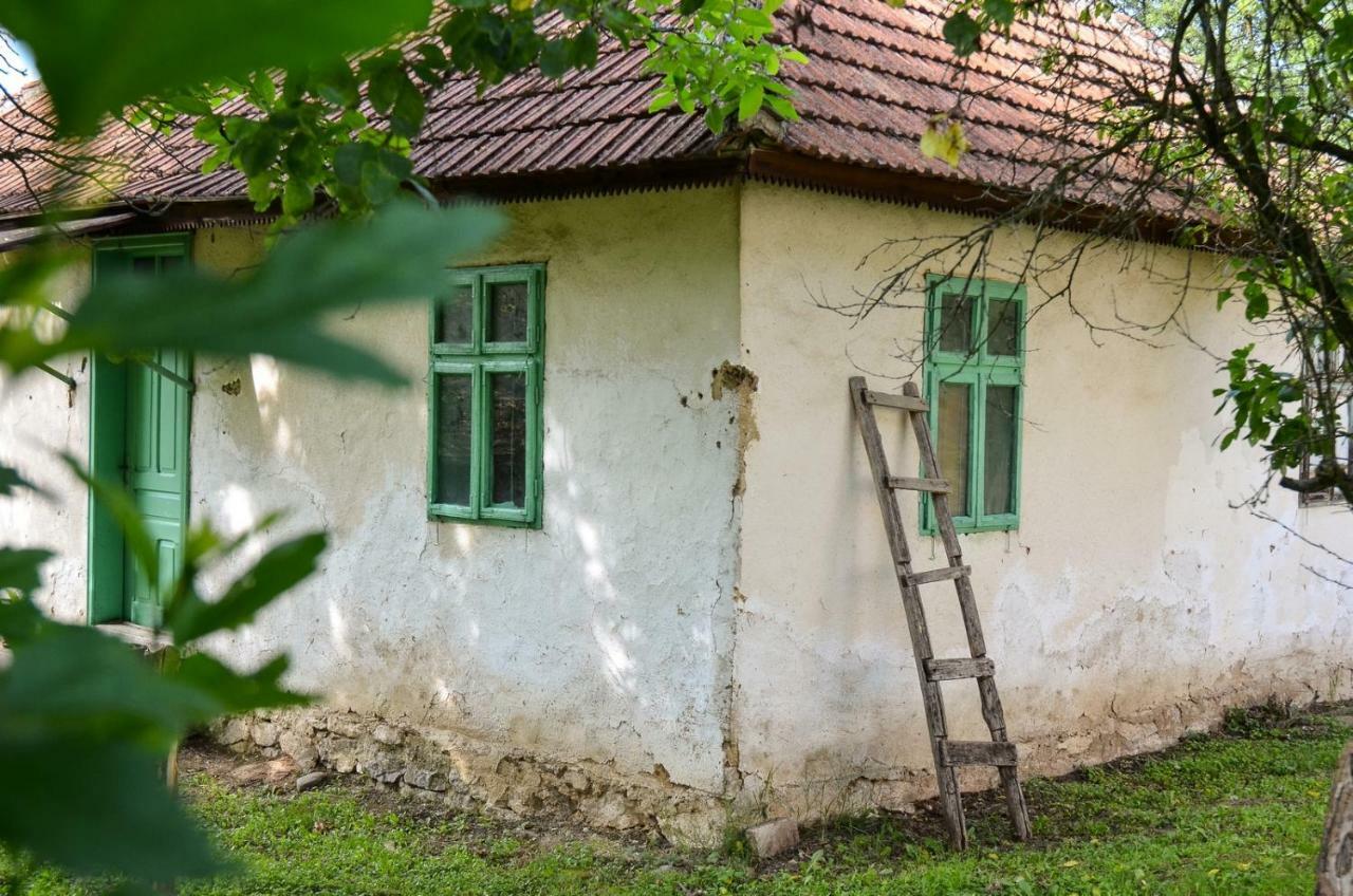 Kuca Za Odmor Radovanovic Despotovac Exteriér fotografie