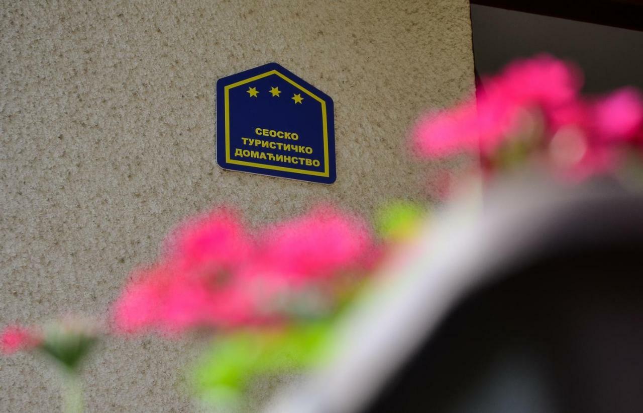 Kuca Za Odmor Radovanovic Despotovac Exteriér fotografie