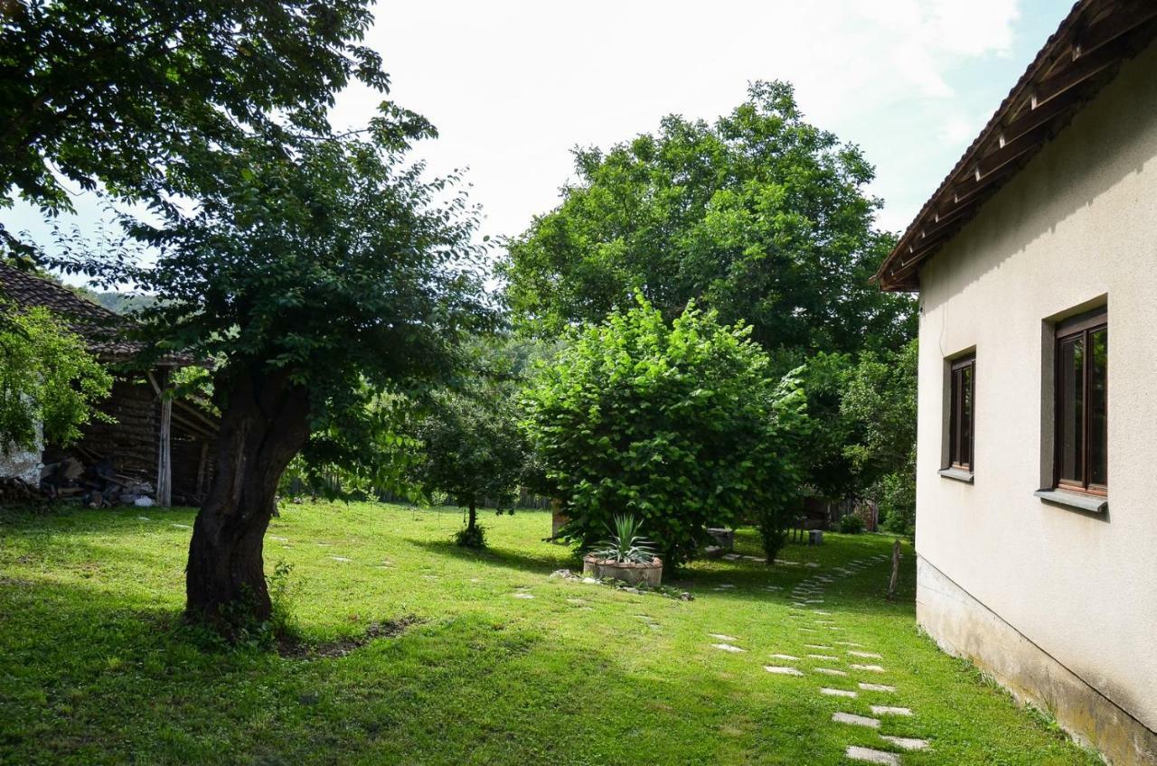 Kuca Za Odmor Radovanovic Despotovac Exteriér fotografie