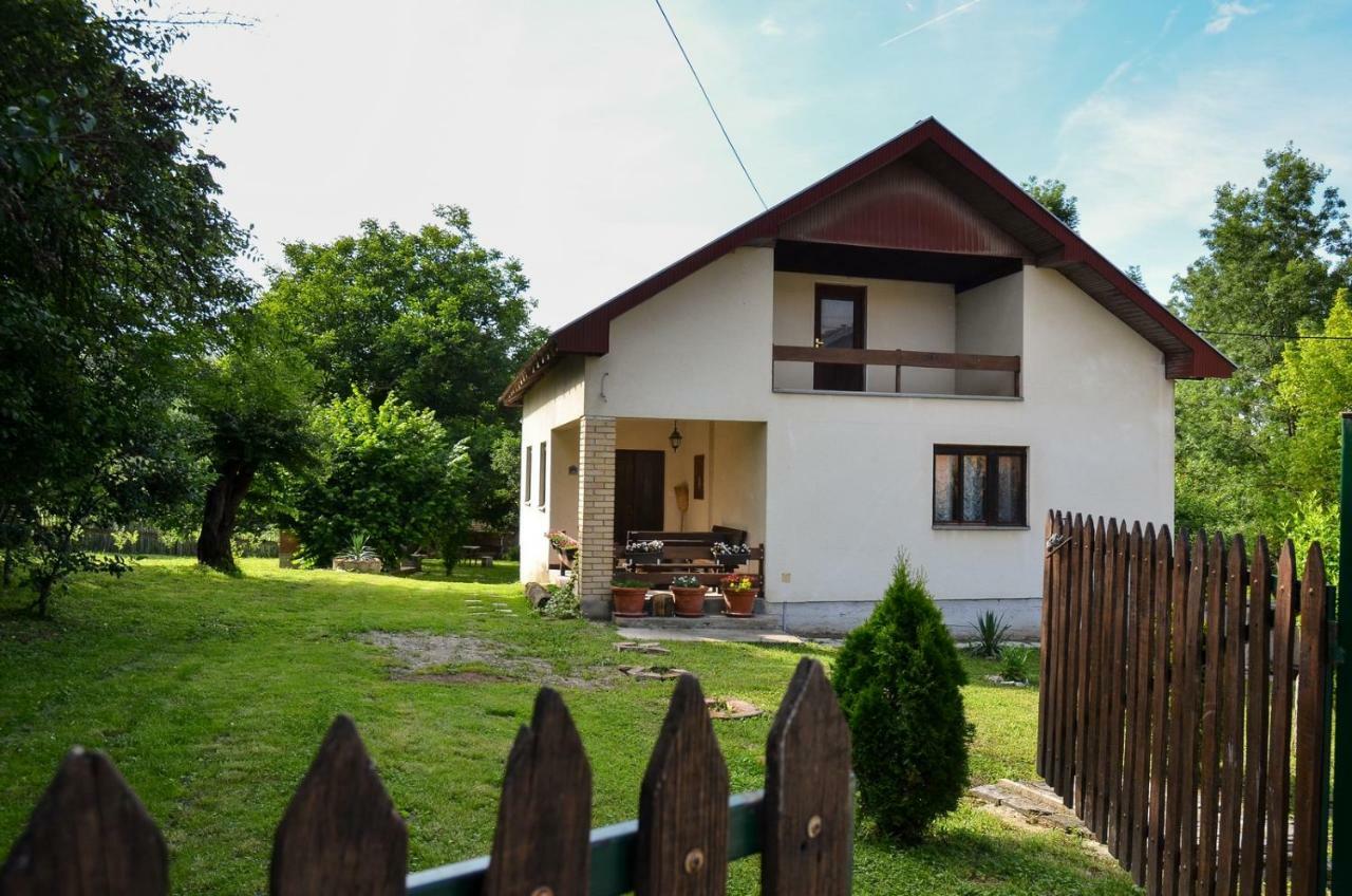 Kuca Za Odmor Radovanovic Despotovac Exteriér fotografie