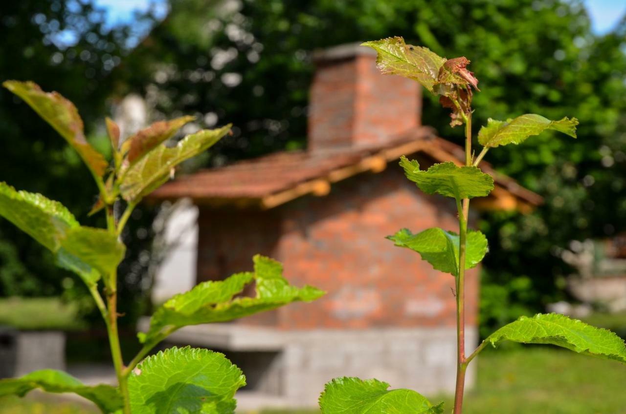 Kuca Za Odmor Radovanovic Despotovac Exteriér fotografie