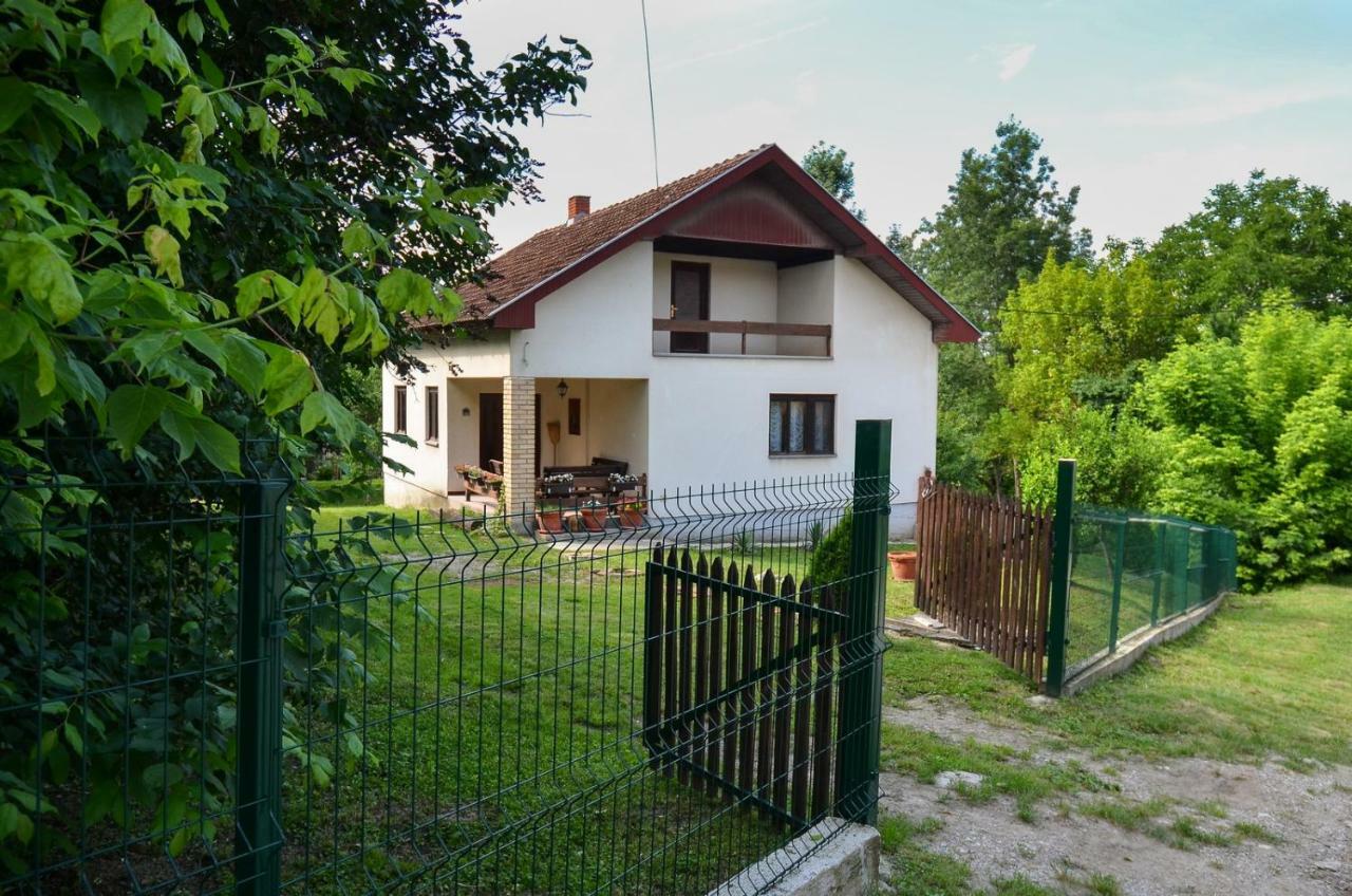 Kuca Za Odmor Radovanovic Despotovac Exteriér fotografie