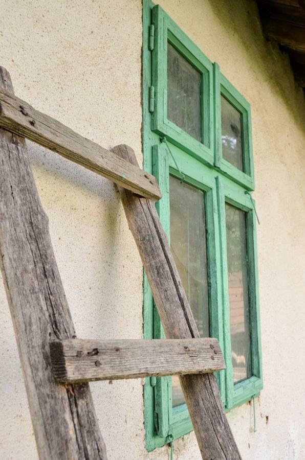 Kuca Za Odmor Radovanovic Despotovac Exteriér fotografie