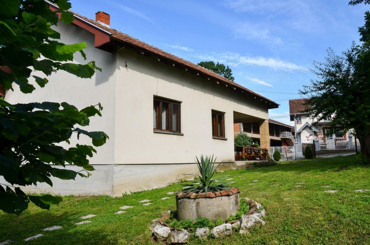 Kuca Za Odmor Radovanovic Despotovac Exteriér fotografie