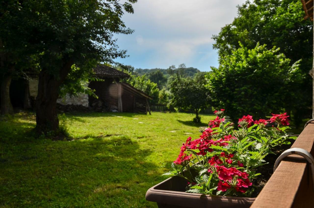 Kuca Za Odmor Radovanovic Despotovac Exteriér fotografie