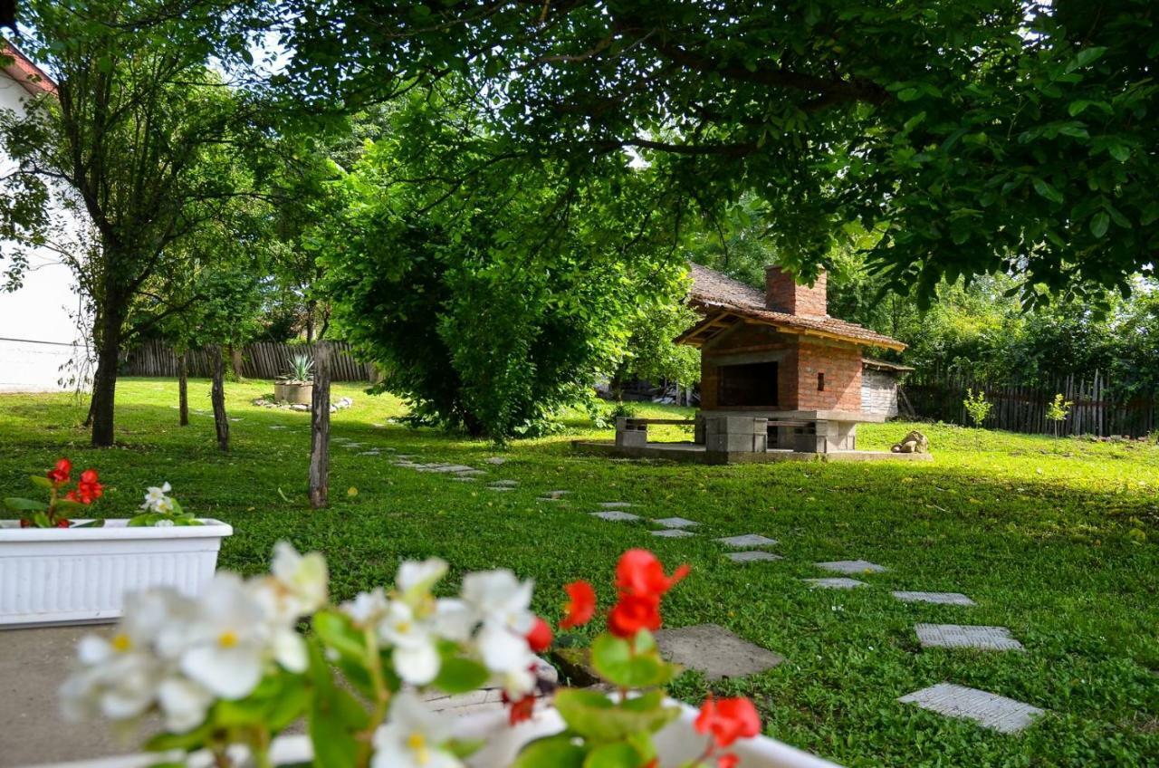 Kuca Za Odmor Radovanovic Despotovac Exteriér fotografie