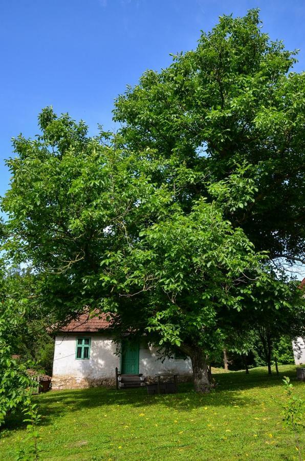 Kuca Za Odmor Radovanovic Despotovac Exteriér fotografie