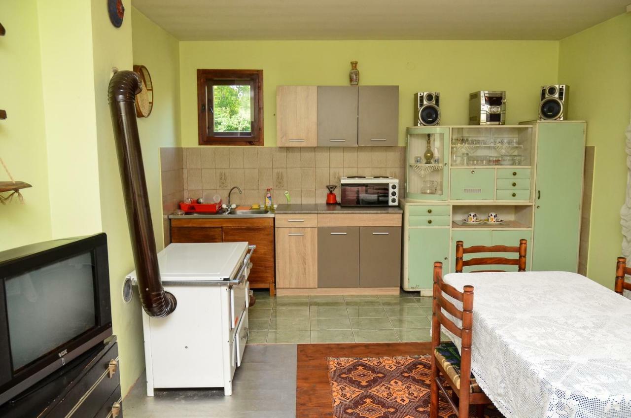 Kuca Za Odmor Radovanovic Despotovac Exteriér fotografie