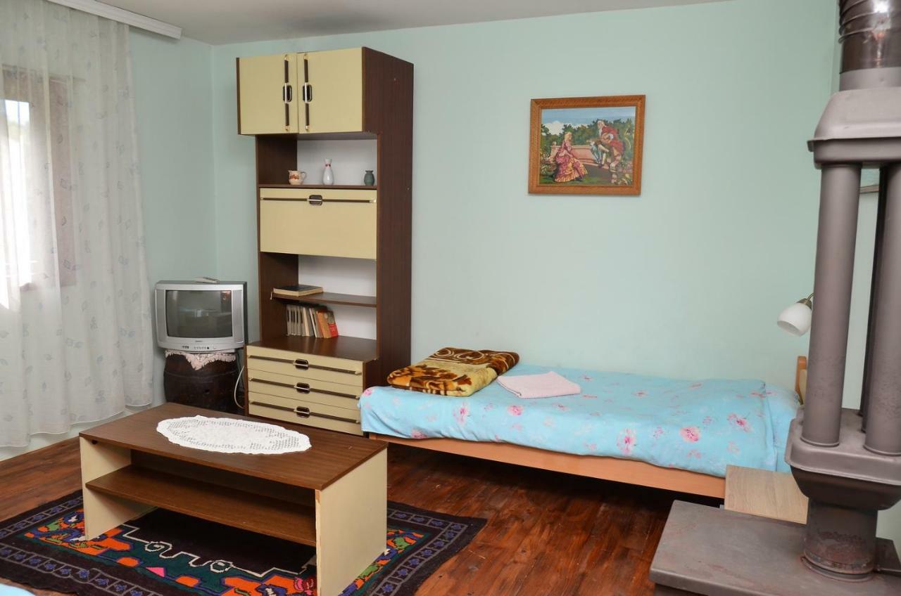 Kuca Za Odmor Radovanovic Despotovac Exteriér fotografie