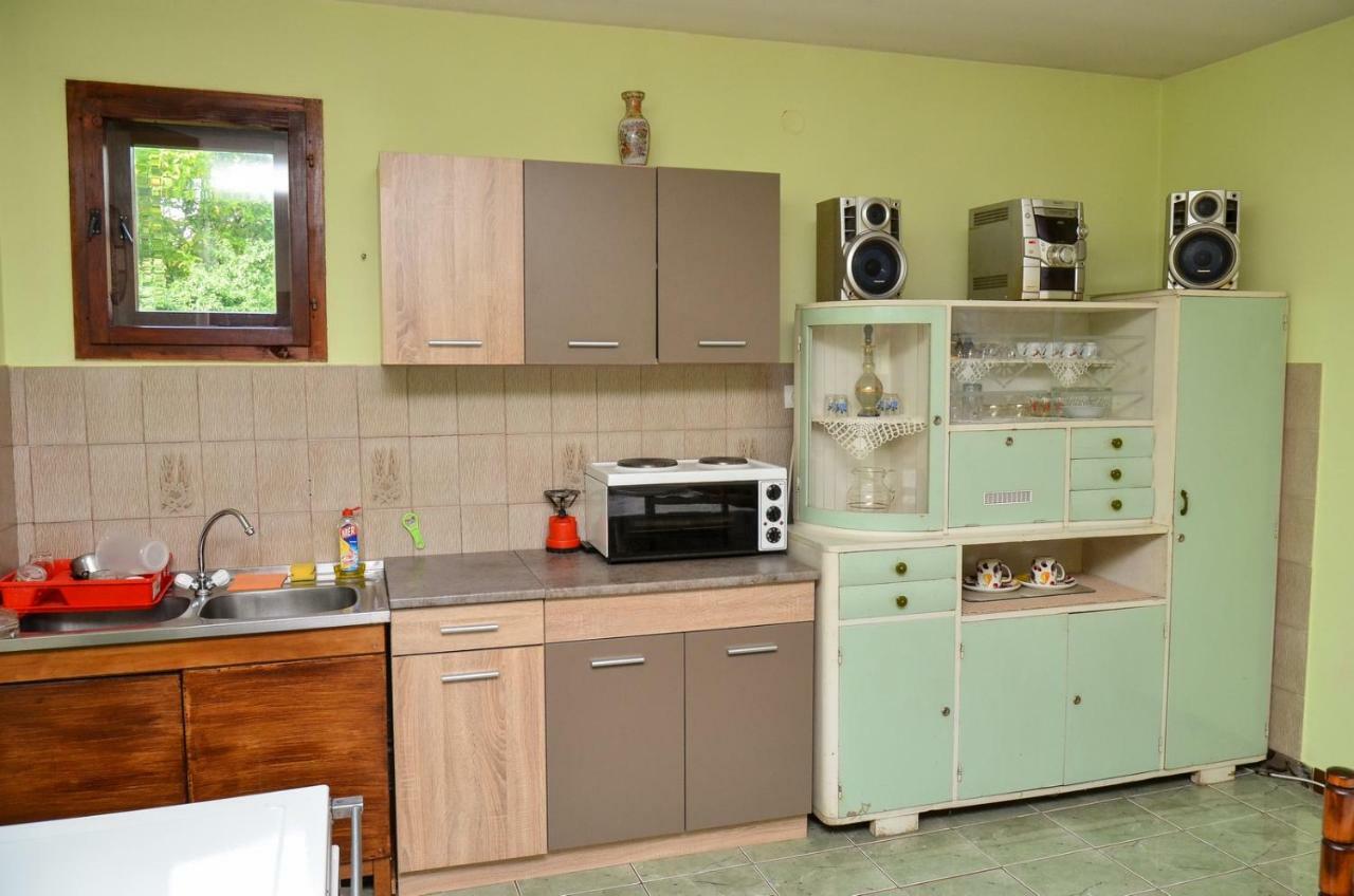 Kuca Za Odmor Radovanovic Despotovac Exteriér fotografie
